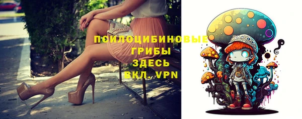 стафф Аркадак